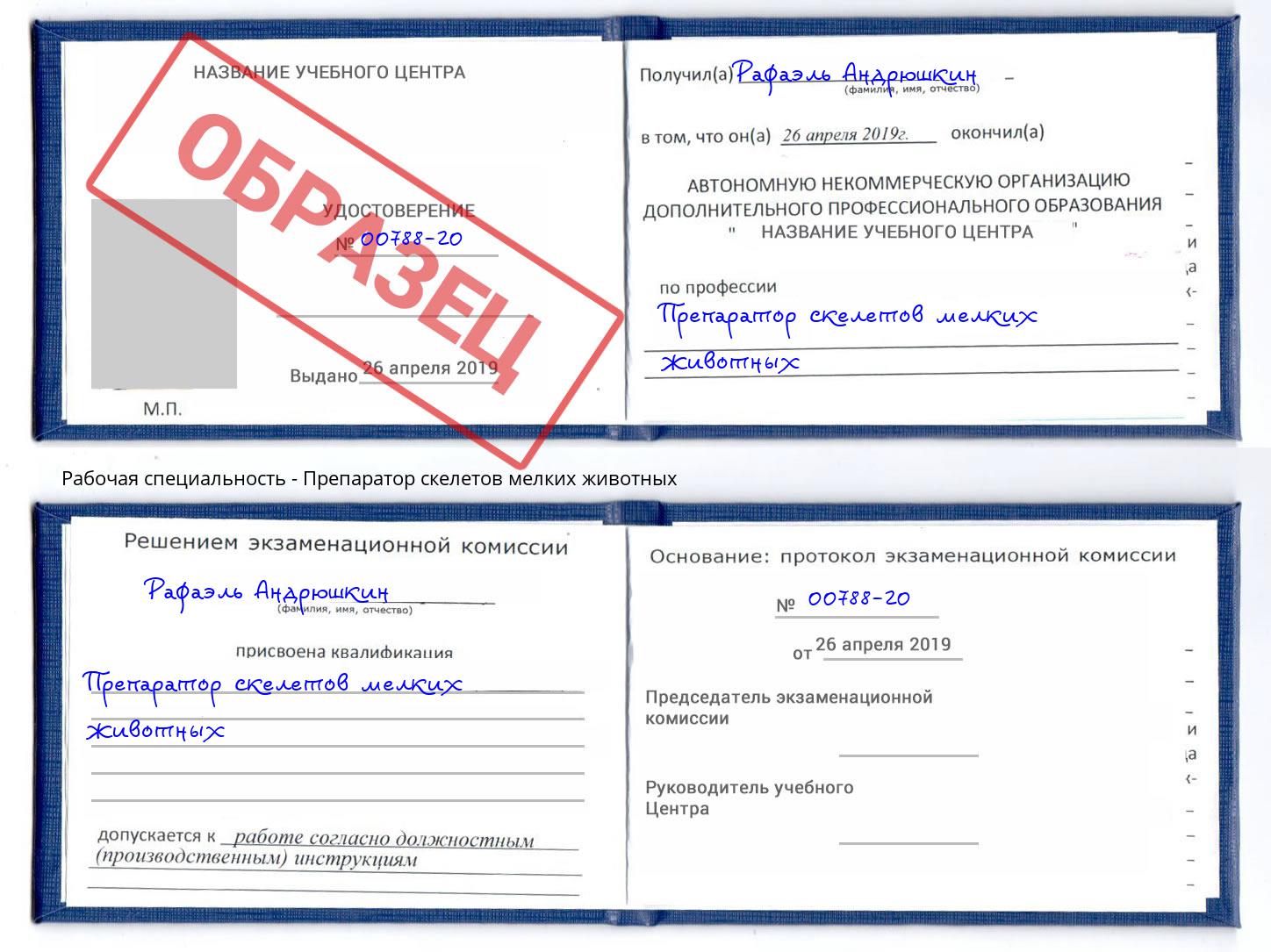 Препаратор скелетов мелких животных Лянтор