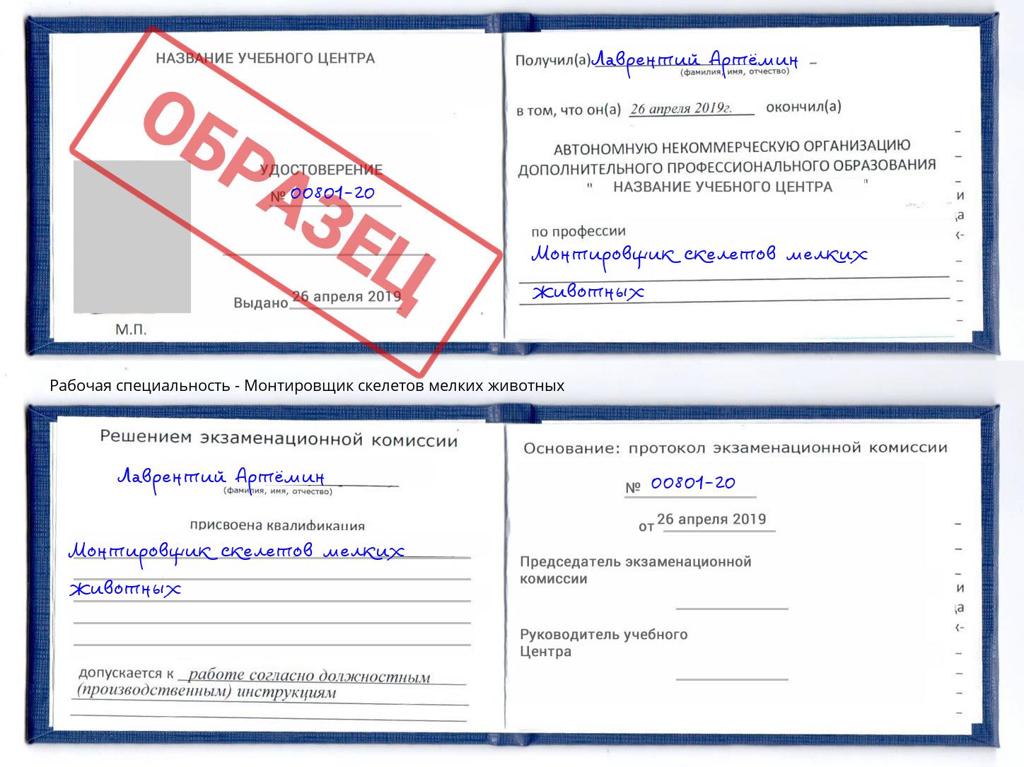 Монтировщик скелетов мелких животных Лянтор