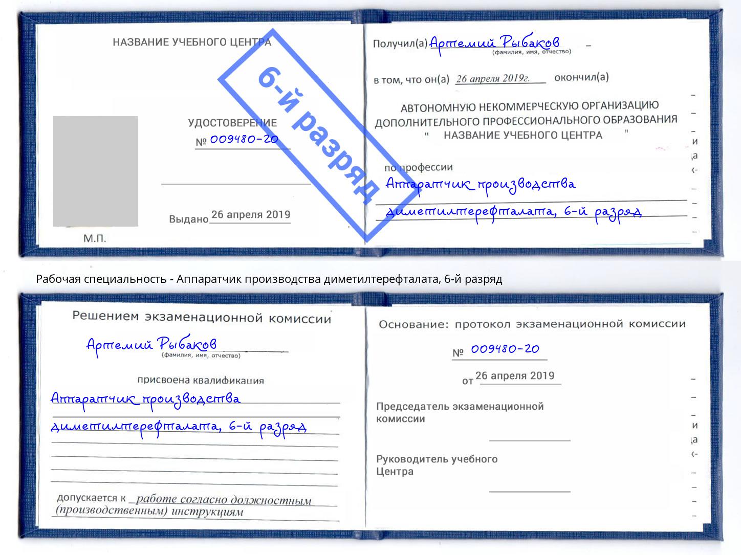 корочка 6-й разряд Аппаратчик производства диметилтерефталата Лянтор